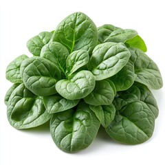Obraz premium Fresh Green Spinach Leaves, Healthy and Nutritious
