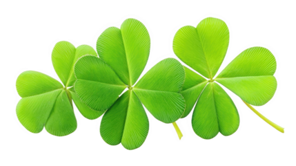 Lucky Clover Leaf Arrangement