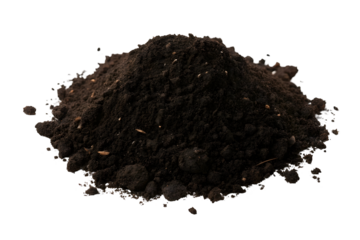 Seedling with Green Leaves in Soil Mound on Light Color Surface.