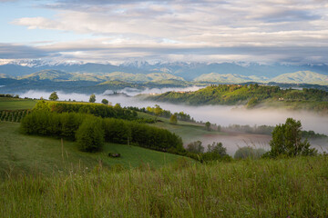 Langhe nebbiose