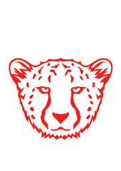 guepard animal sauvage © Scal