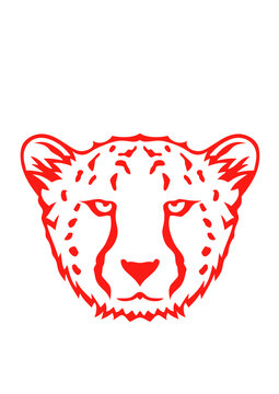 guepard animal sauvage