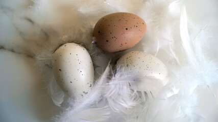 A rustic Easter composition with speckled eggs and feathers, creating a warm and natural atmosphere.