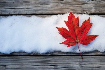 Obraz premium A vibrant red maple leaf rests on a snow-covered wooden surface, signifying the transition from autumn to winter.