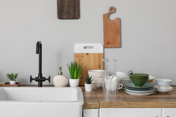 Ceramic sink, clean dish and plants on wooden kitchen counter near grey wall