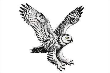 illustration Snowy owl in flight isolated on white background