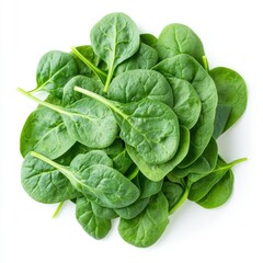 Obraz premium Vibrant Baby Spinach Salad: Fresh Green Bundle Isolated on White Background for Healthy Cooking Inspiration