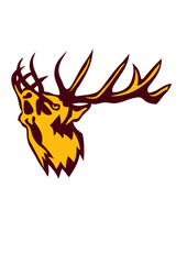  cerf animal brame dessin