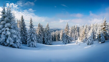 Fototapeta premium fantastic winter landscape with lots of snow on fir trees photo wallpaper discovery the beauty of earth