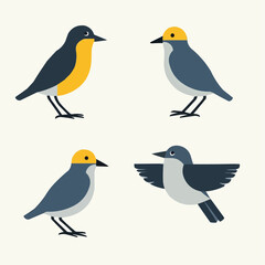 Vögel-Illustration: Vier verschiedene Posen

