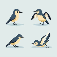 Fototapeta premium Vögel-Illustration: Vier verschiedene Posen