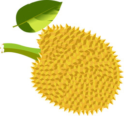 durian isolated on white