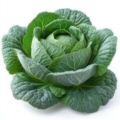 Obraz premium Vibrant Green Savoy Cabbage: A Fresh and Healthy Vegetable