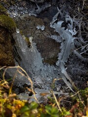 Winter Landscape: Ice on Rocks and Moss