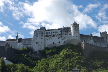 Fototapeta premium castle in the city