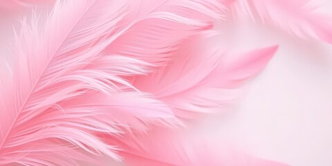 Fototapeta premium Soft pink feathers, pastel hues, vintage aesthetic, abstract background, background, texture