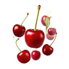Cherry Blossom on transparent background
