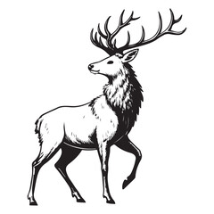 stag  vector