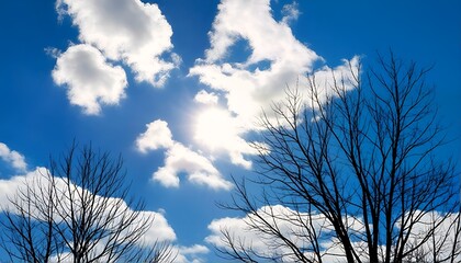 A blue sky with clouds and bare trees.