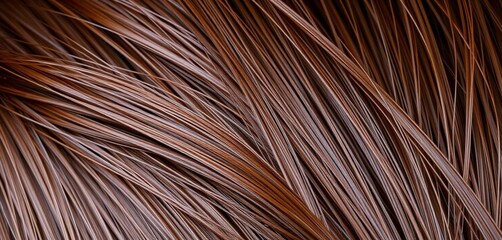 Obraz premium Healthy, shiny brown hair close-up, showing individual strands, brown, hair treatment