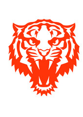 tigre animal sauvage