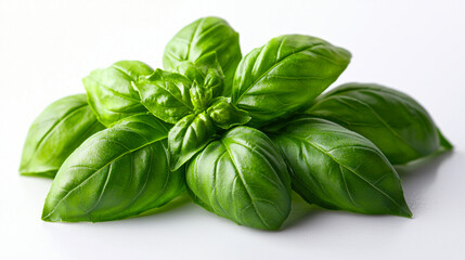 Obraz premium Fresh basil leaves arranged attractively on a white background showcasing their vibrant color and texture