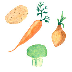 A set of vegetables in watercolor technique.