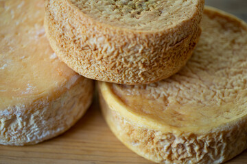 matured cheeses on the table