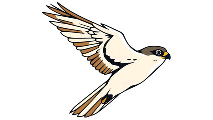 Fototapeta premium Flying Falcon Illustration – Elegant Bird of Prey Vector