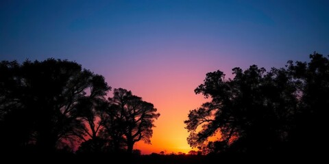 Silhouetted trees against a twilight sky, soft light on the horizon, magical, dreamy