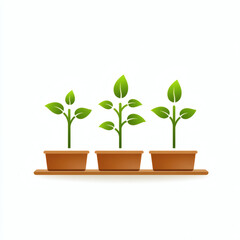 Growing green plants in pots on a wooden shelf  