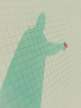 shadow holding a red flower