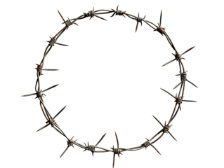 Silhouette of a tree with a crown of thorns and barbed wire frame