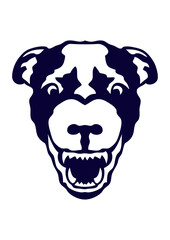 chien mechant dent feroce gueule ouverte