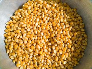 close up grains of corn
