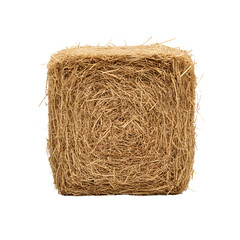 Square Bale of Hay: A rectangular bale shows the tightly packed stalks of hay. Harvested and bound, providing winter feed for farm animals.