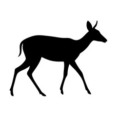 Obraz premium muntjac deer silhouette: ideal for wildlife projects, forest themes, educational designs, and rustic branding 