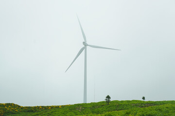 Turbina wiatrowa, Madera © Revsavo