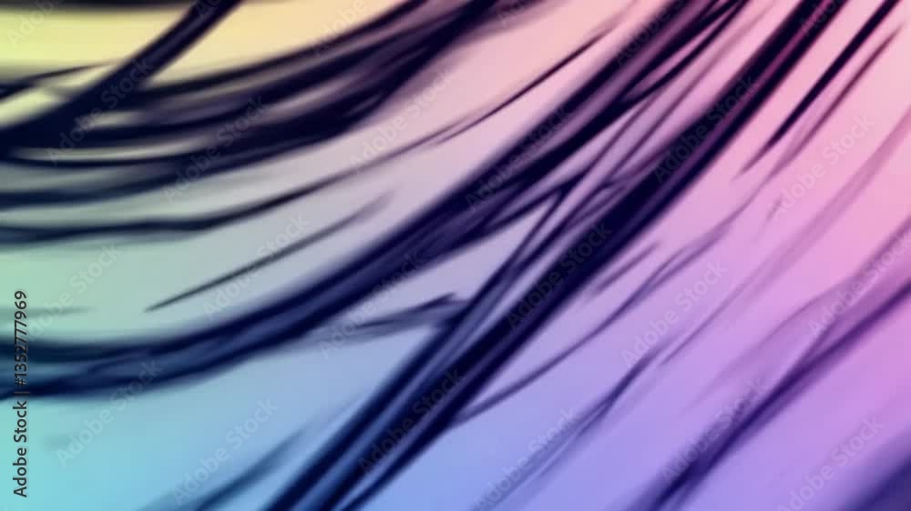 Poster Abstract gradient with flowing dark lines, soft colors. Modern art design concept