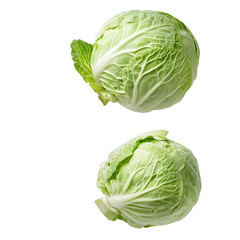 Obraz premium Fresh Green Cabbage: A vibrant and healthy vegetable, perfect for salads or cooking. This cabbage is a testament to nature's goodness. #HealthyEating