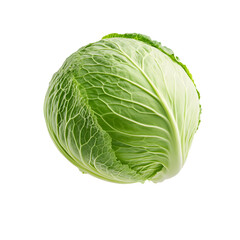 Fototapeta premium Fresh Green Cabbage: A vibrant and healthy vegetable, perfect for salads or cooking. This cabbage is a testament to nature's goodness. #HealthyEating
