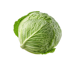 Fototapeta premium Fresh Green Cabbage: A vibrant and healthy vegetable, perfect for salads or cooking. This cabbage is a testament to nature's goodness. #HealthyEating