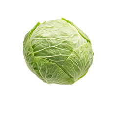 Fototapeta premium Fresh Green Cabbage: A vibrant and healthy vegetable, perfect for salads or cooking. This cabbage is a testament to nature's goodness. #HealthyEating