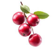 Vibrant Cranberries: A cluster of fresh cranberries, showcasing their bright red color and spherical shape. Natural, wholesome goodness.