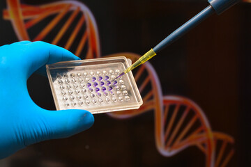 In the biological laboratory.