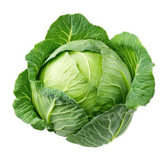 Fototapeta premium Fresh green cabbage on a clean white background showcasing vibrant leafy texture and healthy appearance, fresh Green cabbageisolated on white background