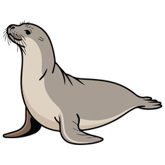 Cute seal icon cartoon vector illustration