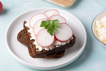 Open-faced rye sandwich topped with cream cheese and fresh radishes on a turquoise background