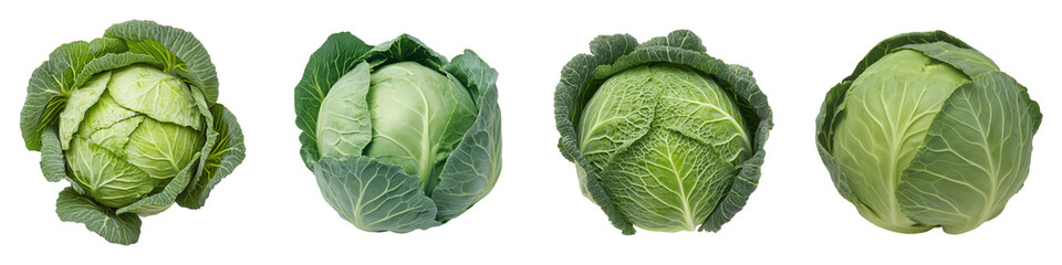 Obraz premium Four fresh cabbage heads displaying varied textures and green leafy forms, ready for raw consumption or culinary preparation.