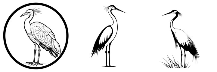 Fototapeta premium Elegant line drawings of herons in various poses captured in black and white style